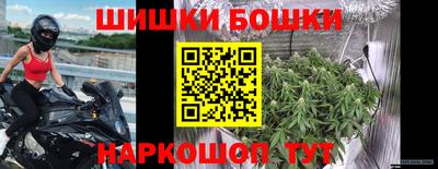 стафф Котовск